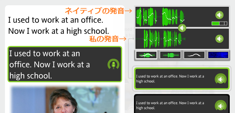 植物の棘は英語で何という 語学マニア Com